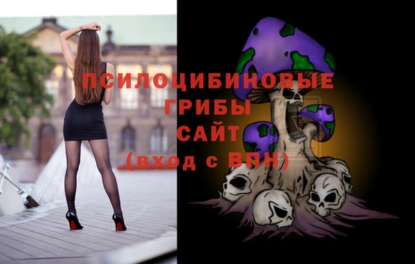 дживик Вяземский